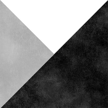 Frame 15 Origami B&W