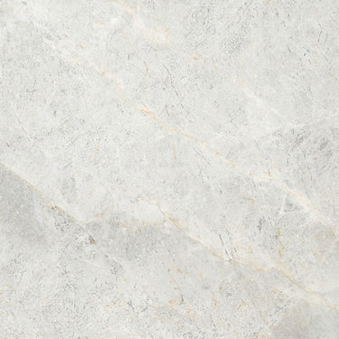 TundraExtra Silver SurfaceTec™