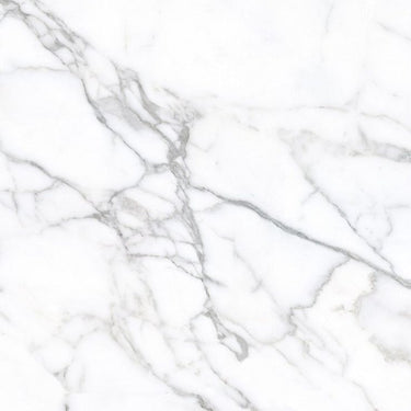 Statuario Venato Statuario