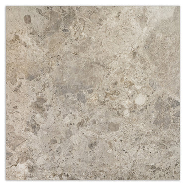Caracter Mix Gris