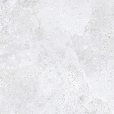 Arctic Tundra White
