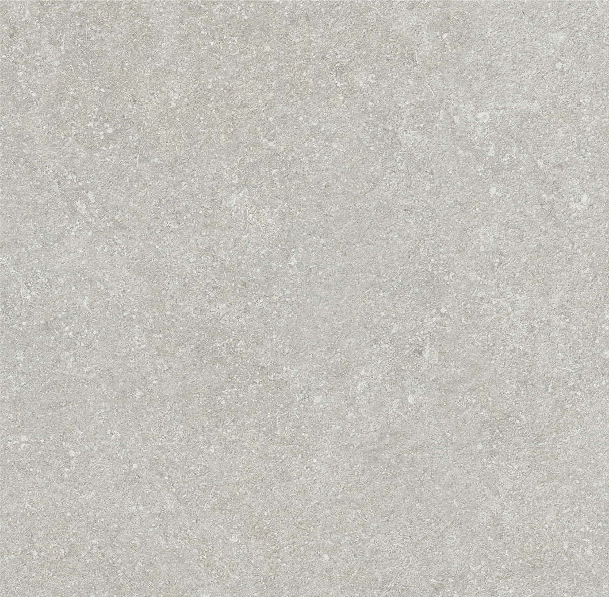 Mystone Cenere – Tile Fusion